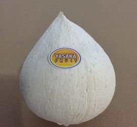 Trái Dừa Ball